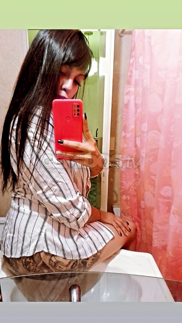 Brisa ZO