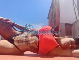 Pamefitdoll