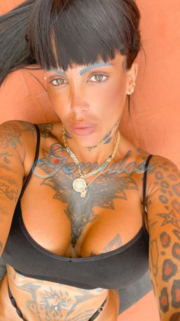 Pamefitdoll