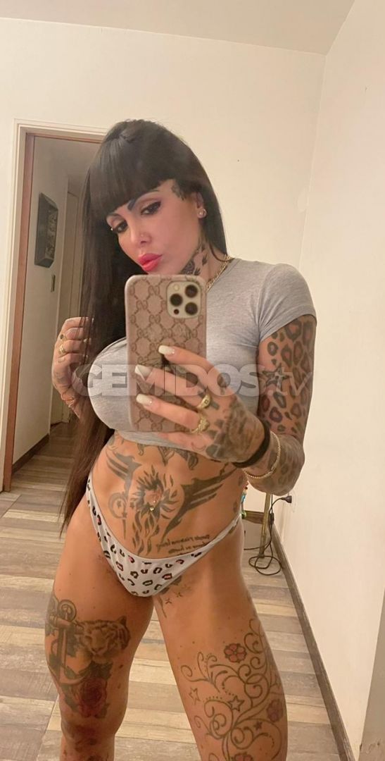 Pamefitdoll