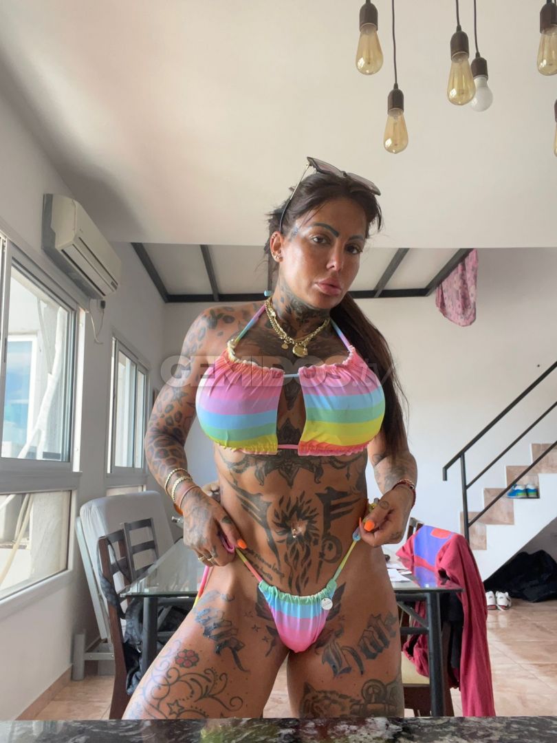 Pamefitdoll