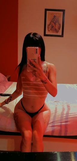Melody MDZ