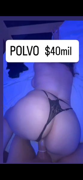 Soy una nena de 20 añitos. Pero una verdadera puta chupandote la pija. 

MIS SERVICIOS: 

BESOS DE LENGUA 
ORAL SIN HASTA EL FINAL
GARGANTA PROFUNDA 
FACE FUCK
VAGINAL SIN CON ACABADA ADENTRO
HORA CON TRATO DE NOVIOS
FETICHES
BDSM
y más cositas... pregúntame sin miedo todo lo que quieres hacer y va hacer algo muy rico. 

TETONA DE 115 NATURAL. 
COLA BIEN RICA CUANDO ME DAS EN 4 🥵🤤

ME ENCANTA QUE ME COJAN BIEN RICO. 
SUPER BUENA ONDA 

soy muy discreta, para hoteles y domicilio. Para que no tengas excusas de disfrutar 😈

video llamadas eco para que me veas en vivo. 

Me manejo con auto, hotel o domicilio papi. 
Me pagas todo cuando nos vemos. No pido nada adelantado ni señas. 

⛔️ NO ATIENDO LLAMADAS ⛔️ SOLO WPP